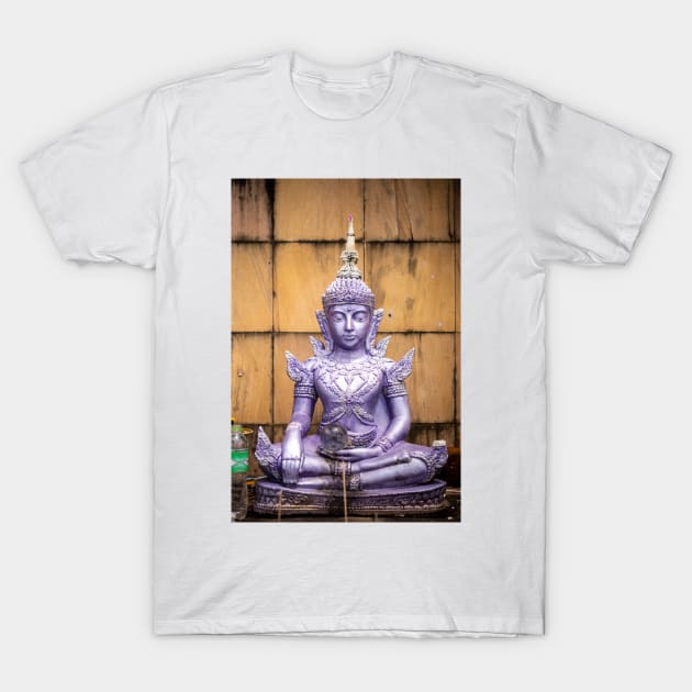 Buddhist artwork on the wild T-Shirt by SCUBAddict